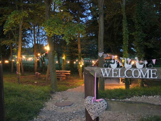 Festoon Lighting - Lighting up Woodland at Dusk