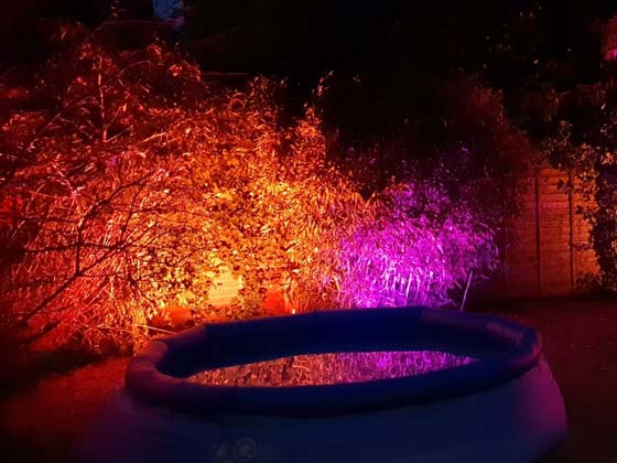 Two RGB LED Uplighters Illuminating a Bush with Orange and Pink Light