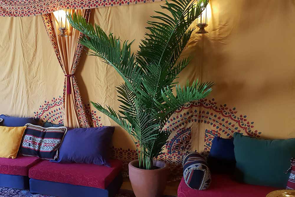 Arabian Palm Tree - Adding Middle Eastern Charm