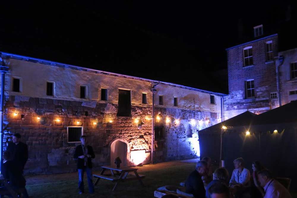 Festoon Lighting Illuminating a Nighttime Event