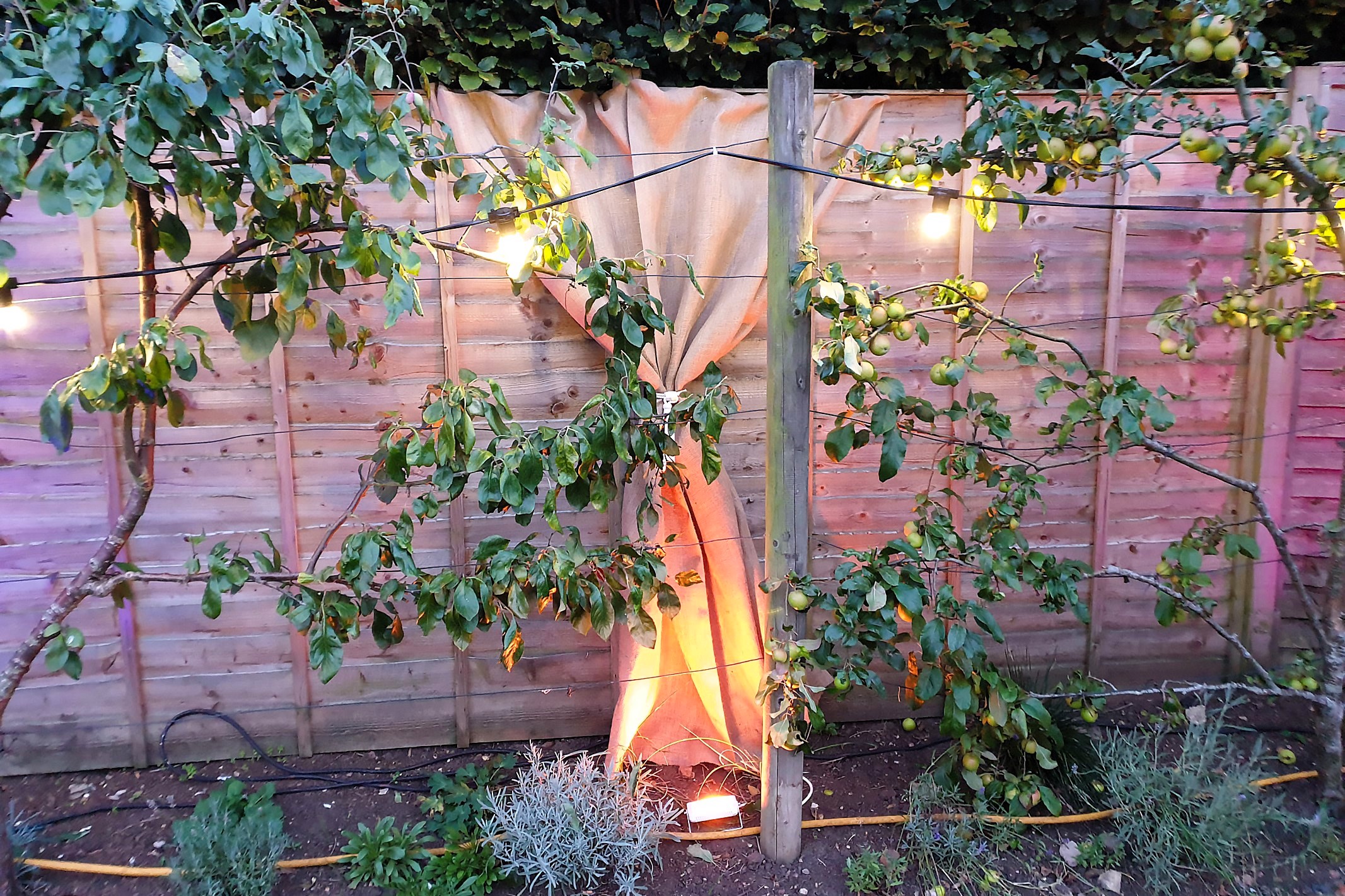 Hessian Wall Overlay with Festoon Lighting and Uplighters - Rustic Event Ambiance
