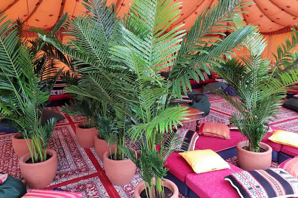 Eight palm trees creating a jungle a an 18th birthday party.