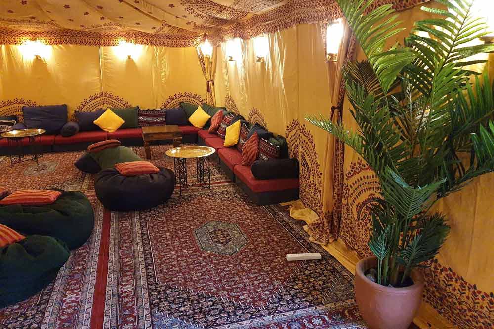 Palm Tree Hire - Bringing Paradise to Your Event